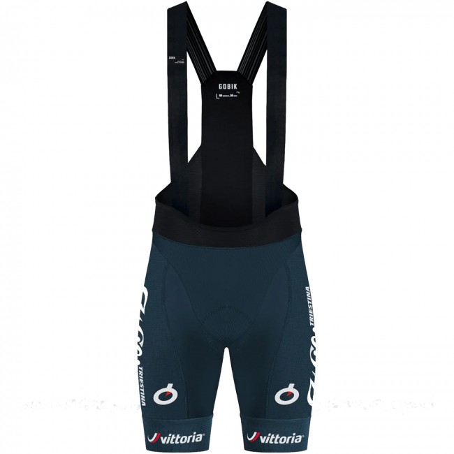 Bekleidung Herren Gobik Wilier Vittoria 2024 Absolute 6.0 K10 tragerhose