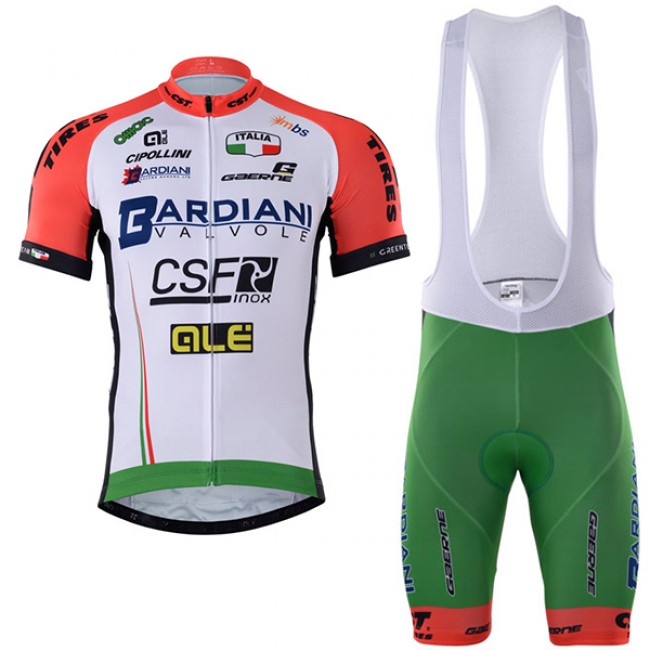 2017 BARDIANI CSF Fahrradbekleidung Satz Radtrikot Kurzarm+Kurz Trägerhose 773SAYO 2017 BARDIANI CSF Fahrradbekleidung Satz Radtrikot Kurzarm+Kurz Trägerhose 773SAYO
